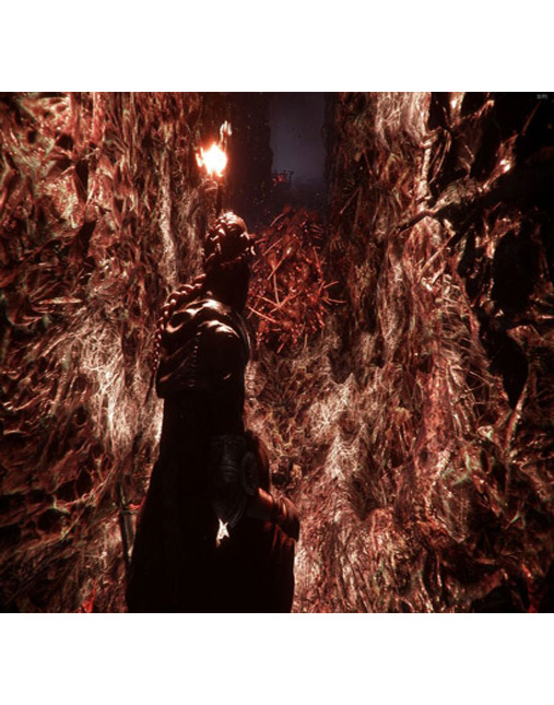 تصویری از A Plague Tale Innocence در Xbox One