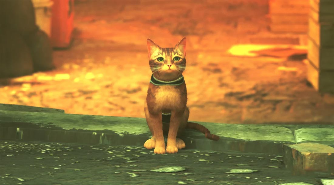 گربه نارنجی بازی گربه ای برای PS5