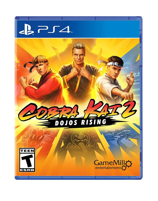 خرید بازی Cobra Kai 2 Dojos Rising برای PS4