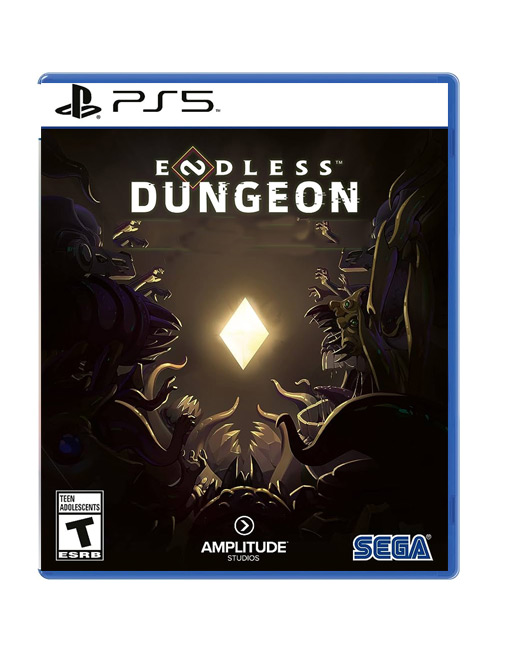 خرید بازی Endless Dungeon برای PlayStation 5